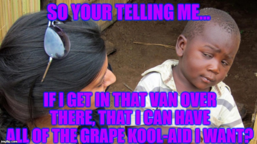Sceptical kid | SO YOUR TELLING ME... IF I GET IN THAT VAN OVER THERE, THAT I CAN HAVE ALL OF THE GRAPE KOOL-AID I WANT? | image tagged in sceptical kid,kool aid,grape | made w/ Imgflip meme maker