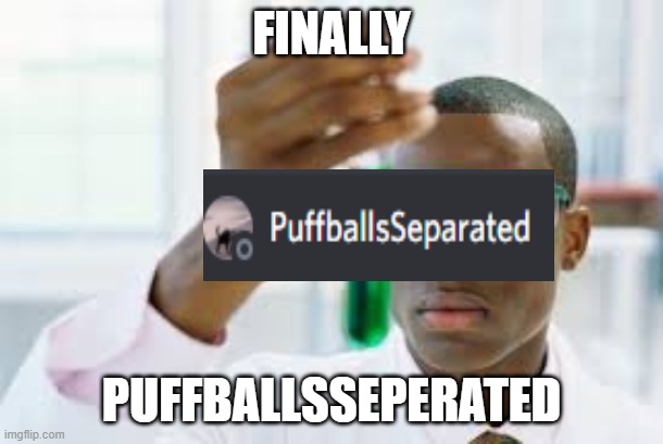 PuffballsSeperated | FINALLY; PUFFBALLSSEPERATED | image tagged in finally | made w/ Imgflip meme maker