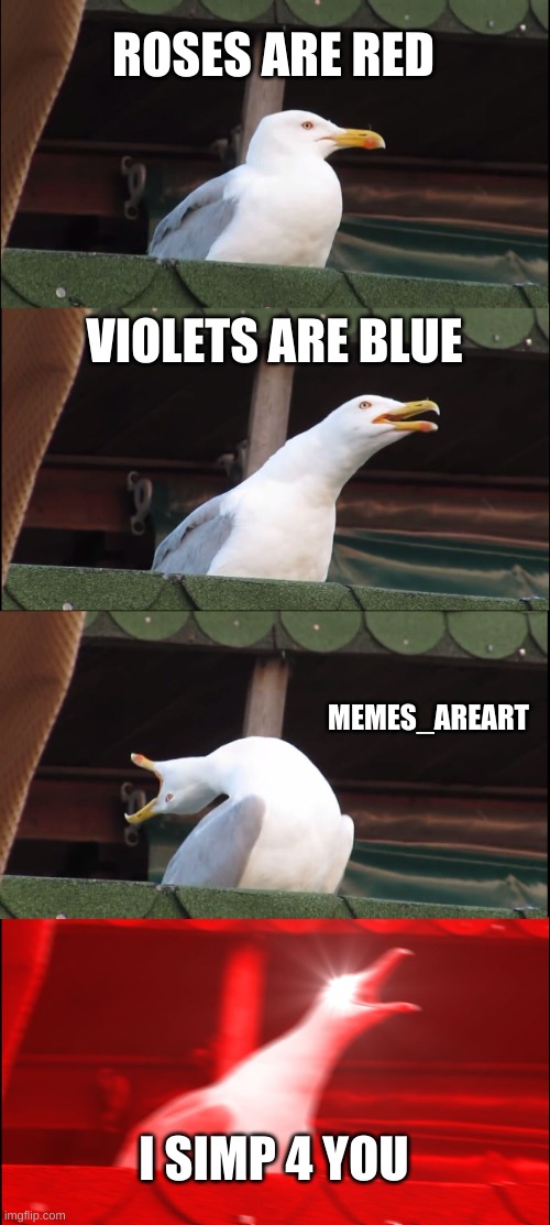 :p | ROSES ARE RED; VIOLETS ARE BLUE; MEMES_AREART; I SIMP 4 YOU | image tagged in memes,inhaling seagull,and you only | made w/ Imgflip meme maker