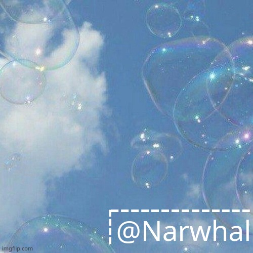 narwhal announcement temp Blank Meme Template