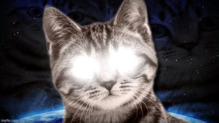 Psychic Cat | image tagged in psychic cat | made w/ Imgflip meme maker
