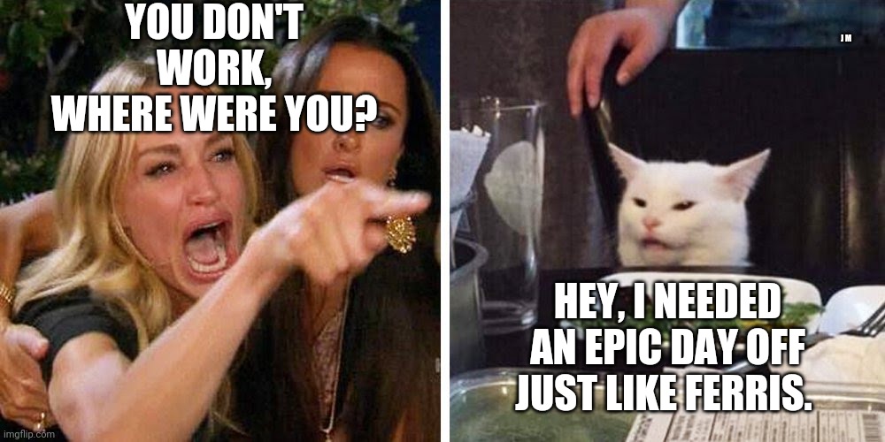 Smudge the cat | YOU DON'T WORK, WHERE WERE YOU? J M; HEY, I NEEDED AN EPIC DAY OFF JUST LIKE FERRIS. | image tagged in smudge the cat | made w/ Imgflip meme maker