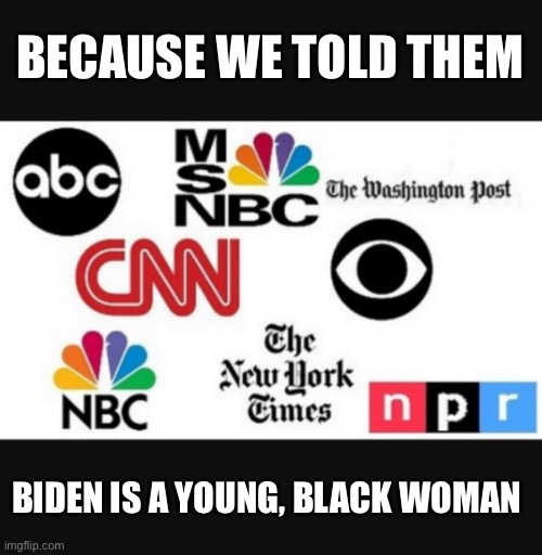 Media lies | BECAUSE WE TOLD THEM BIDEN IS A YOUNG, BLACK WOMAN | image tagged in media lies | made w/ Imgflip meme maker