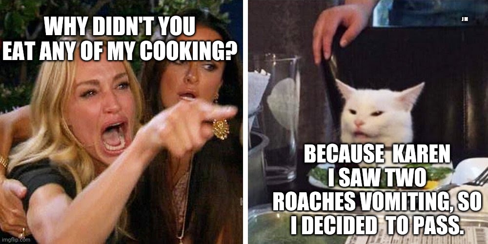 Smudge the cat | J M; WHY DIDN'T YOU EAT ANY OF MY COOKING? BECAUSE  KAREN I SAW TWO ROACHES VOMITING, SO I DECIDED  TO PASS. | image tagged in smudge the cat | made w/ Imgflip meme maker