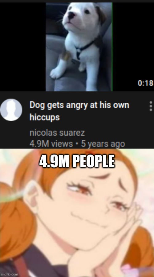 A puppy getting at their own hiccups is the most adorable thing you'll ever see | 4.9M PEOPLE | image tagged in puppy,hiccup,angery | made w/ Imgflip meme maker