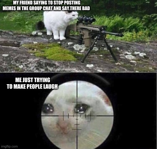 Sniper cat |  MY FRIEND SAYING TO STOP POSTING MEMES IN THE GROUP CHAT AND SAY THERE BAD; ME JUST TRYING TO MAKE PEOPLE LAUGH | image tagged in sniper cat | made w/ Imgflip meme maker