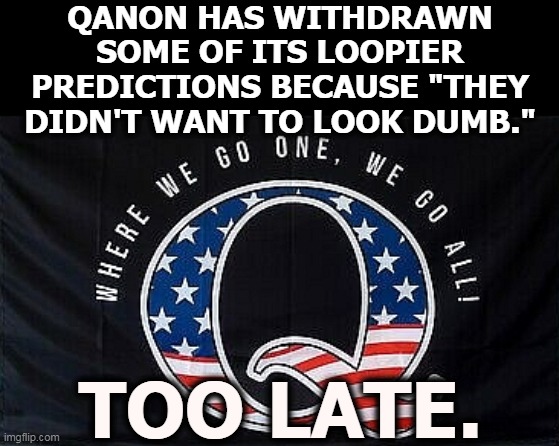 QAnon is the dumbest dumbness that ever dumbed. | QANON HAS WITHDRAWN SOME OF ITS LOOPIER PREDICTIONS BECAUSE "THEY DIDN'T WANT TO LOOK DUMB."; TOO LATE. | image tagged in qanon,dumb | made w/ Imgflip meme maker