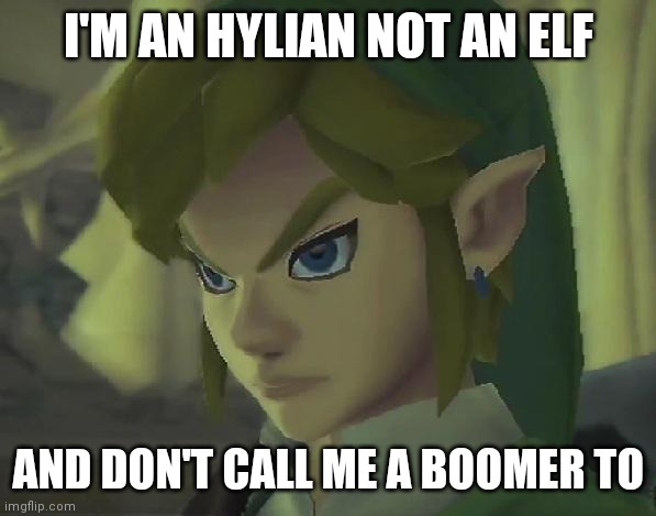 When You Don't Your Video Game Character's Race | I'M AN HYLIAN NOT AN ELF; AND DON'T CALL ME A BOOMER TO | image tagged in angry link | made w/ Imgflip meme maker