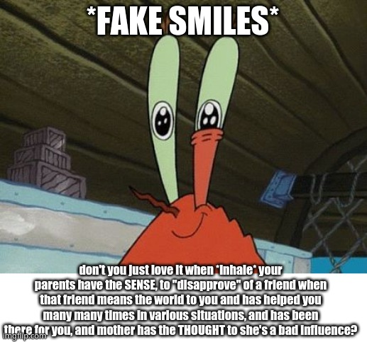 mom doesn't know shit. | *FAKE SMILES*; don't you just love it when *inhale* your parents have the SENSE, to "disapprove" of a friend when that friend means the world to you and has helped you many many times in various situations, and has been there for you, and mother has the THOUGHT to she's a bad influence? | image tagged in eye twitch | made w/ Imgflip meme maker