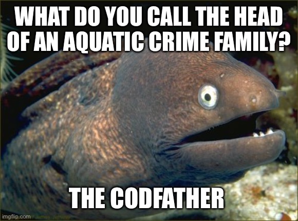 Bad Joke Eel | WHAT DO YOU CALL THE HEAD OF AN AQUATIC CRIME FAMILY? THE CODFATHER | image tagged in memes,bad joke eel | made w/ Imgflip meme maker
