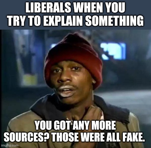 Y'all Got Any More Of That Meme | LIBERALS WHEN YOU TRY TO EXPLAIN SOMETHING; YOU GOT ANY MORE SOURCES? THOSE WERE ALL FAKE. | image tagged in memes,y'all got any more of that | made w/ Imgflip meme maker