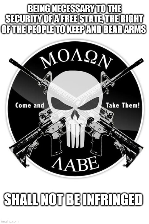 MOLON LABE | BEING NECESSARY TO THE SECURITY OF A FREE STATE, THE RIGHT OF THE PEOPLE TO KEEP AND BEAR ARMS ; SHALL NOT BE INFRINGED | image tagged in molon labe,2nd amendment | made w/ Imgflip meme maker