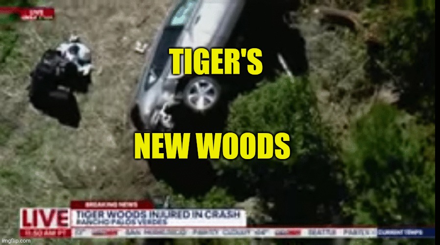 Tiger drives | TIGER'S; NEW WOODS | image tagged in tiger woods,accident,golf,car crash,fail of the day,famous | made w/ Imgflip meme maker