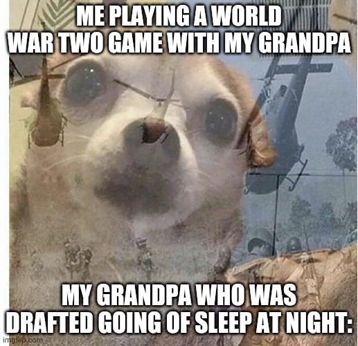 PTSD Chihuahua | ME PLAYING A WORLD WAR TWO GAME WITH MY GRANDPA; MY GRANDPA WHO WAS DRAFTED GOING OF SLEEP AT NIGHT: | image tagged in ptsd chihuahua | made w/ Imgflip meme maker