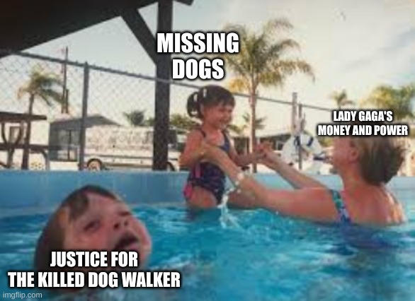 MISSING DOGS; LADY GAGA'S MONEY AND POWER; JUSTICE FOR THE KILLED DOG WALKER | image tagged in lady gaga,priorities,liberal logic | made w/ Imgflip meme maker