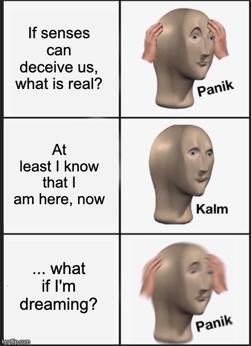 Panik Kalm Panik Meme | If senses can deceive us, what is real? At least I know that I am here, now; ... what if I'm dreaming? | image tagged in memes,panik kalm panik | made w/ Imgflip meme maker