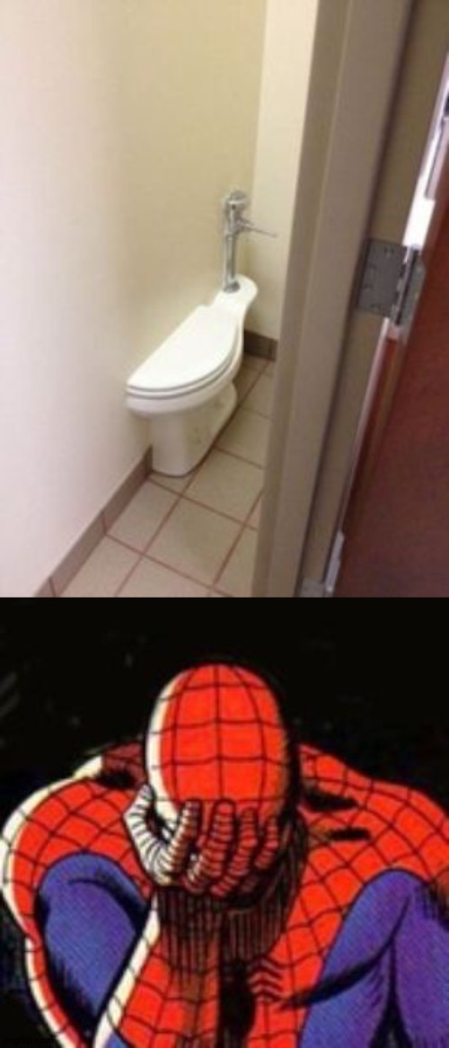 Explanation? | image tagged in memes,sad spiderman,funny,toilet,glitch | made w/ Imgflip meme maker