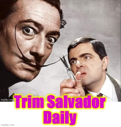 Trim Salvador Daily | Trim Salvador
Daily | image tagged in mr bean | made w/ Imgflip meme maker