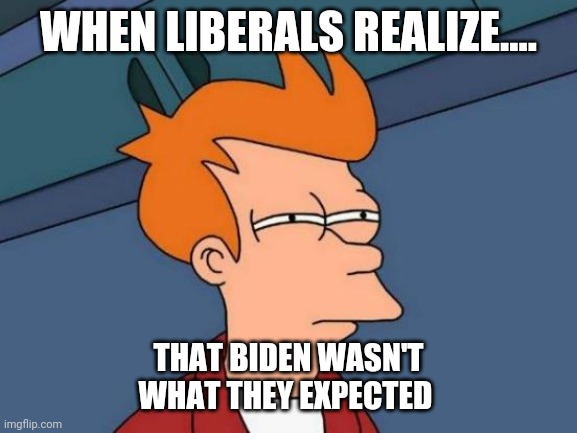 Futurama Fry | WHEN LIBERALS REALIZE.... THAT BIDEN WASN'T WHAT THEY EXPECTED | image tagged in memes,futurama fry | made w/ Imgflip meme maker