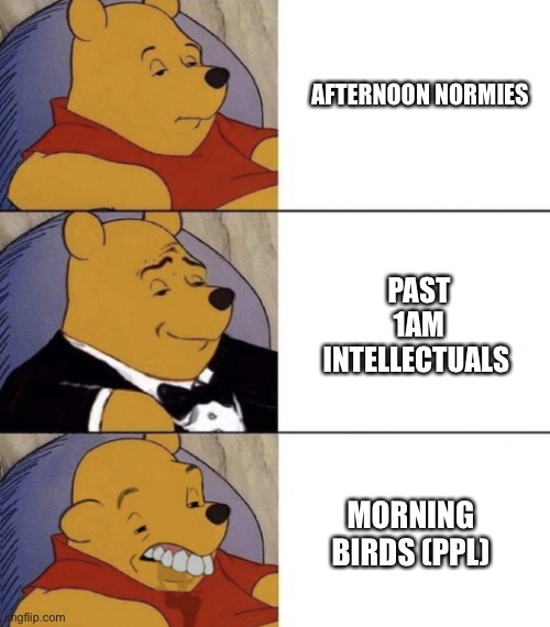 Me time > socializing | AFTERNOON NORMIES; PAST 1AM INTELLECTUALS; MORNING BIRDS (PPL) | image tagged in whinnie the poo normal fancy gross | made w/ Imgflip meme maker