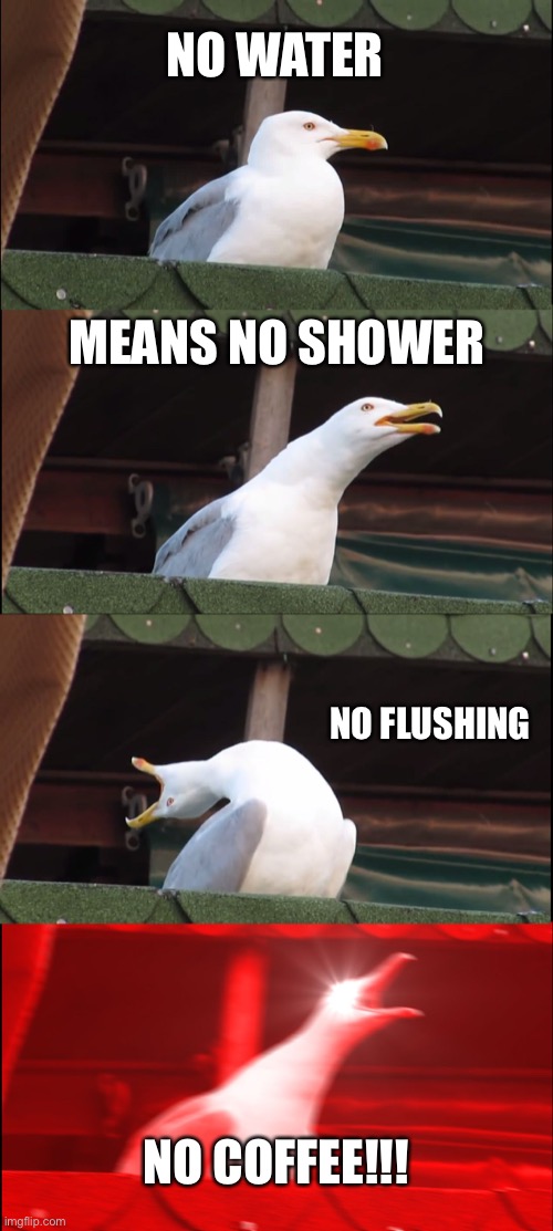 Inhaling Seagull Meme | NO WATER; MEANS NO SHOWER; NO FLUSHING; NO COFFEE!!! | image tagged in memes,inhaling seagull | made w/ Imgflip meme maker