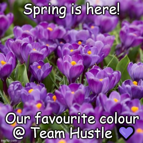 Spring | Spring is here! Our favourite colour
 @ Team Hustle 💜 | image tagged in hustle,purple | made w/ Imgflip meme maker