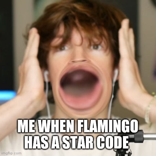 Flamingo surprised | ME WHEN FLAMINGO HAS A STAR CODE | image tagged in flamingo surprised | made w/ Imgflip meme maker