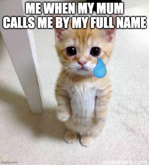 Cute Cat | ME WHEN MY MUM CALLS ME BY MY FULL NAME | image tagged in memes,cute cat | made w/ Imgflip meme maker