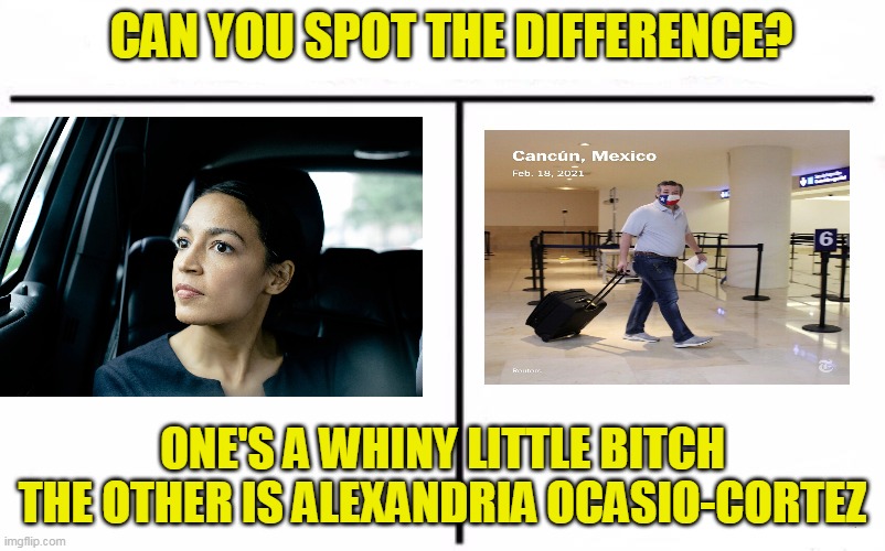 AOC raises $5m for Texas during a crisis, Cruz flees to Mexico and thanks her by lying at CPAC | CAN YOU SPOT THE DIFFERENCE? ONE'S A WHINY LITTLE BITCH THE OTHER IS ALEXANDRIA OCASIO-CORTEZ | image tagged in who would win blank | made w/ Imgflip meme maker