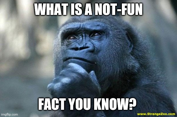 Deep Thoughts | WHAT IS A NOT-FUN; FACT YOU KNOW? | made w/ Imgflip meme maker