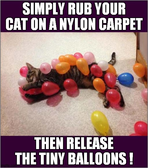 Do You Want Your Cat To Be Static ? | SIMPLY RUB YOUR CAT ON A NYLON CARPET; THEN RELEASE THE TINY BALLOONS ! | image tagged in cats,static,balloons | made w/ Imgflip meme maker