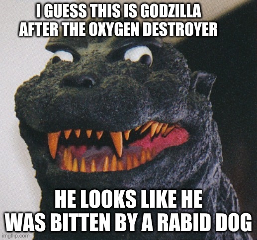 Godzilla after The Oxygen Destroyer | I GUESS THIS IS GODZILLA AFTER THE OXYGEN DESTROYER; HE LOOKS LIKE HE WAS BITTEN BY A RABID DOG | image tagged in godzilla after the oxygen destroyer | made w/ Imgflip meme maker