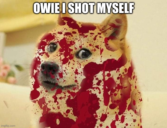 Bloody doge | OWIE I SHOT MYSELF | image tagged in bloody doge | made w/ Imgflip meme maker