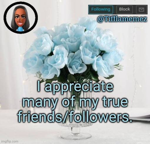 I appreciate many of you people. | I appreciate many of my true friends/followers. | image tagged in tifflamemez light blue roses announcement template,imgflip users,imgflip user,appreciation | made w/ Imgflip meme maker