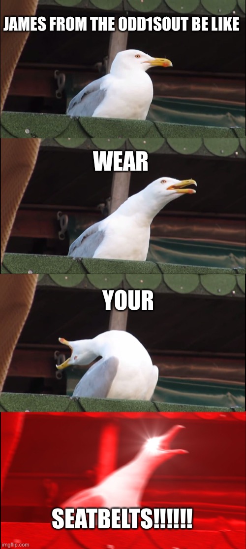 Inhaling Seagull | JAMES FROM THE ODD1SOUT BE LIKE; WEAR; YOUR; SEATBELTS!!!!!! | image tagged in memes,inhaling seagull,odd1sout,james,funny | made w/ Imgflip meme maker