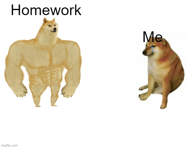 My Homework | Homework; Me | image tagged in memes,buff doge vs cheems | made w/ Imgflip meme maker