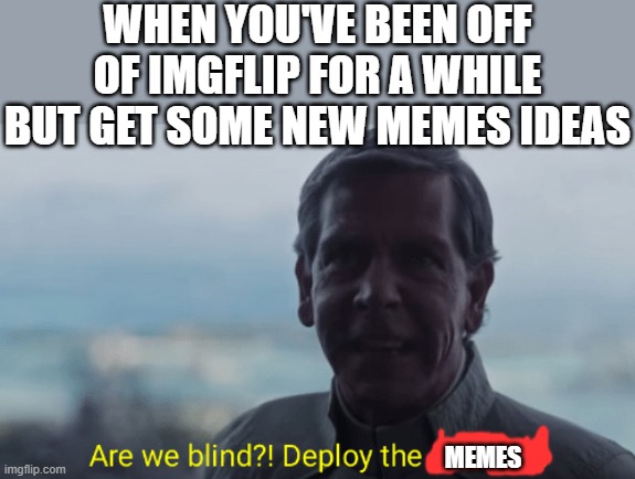 Are we blind? Deploy the garrison! | WHEN YOU'VE BEEN OFF OF IMGFLIP FOR A WHILE BUT GET SOME NEW MEMES IDEAS; MEMES | image tagged in are we blind deploy the garrison,i'm 15 so don't try it,who reads these | made w/ Imgflip meme maker