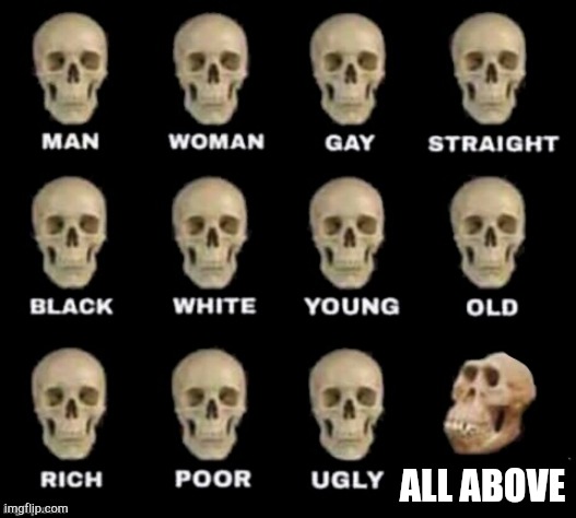 idiot skull | ALL ABOVE | image tagged in idiot skull | made w/ Imgflip meme maker
