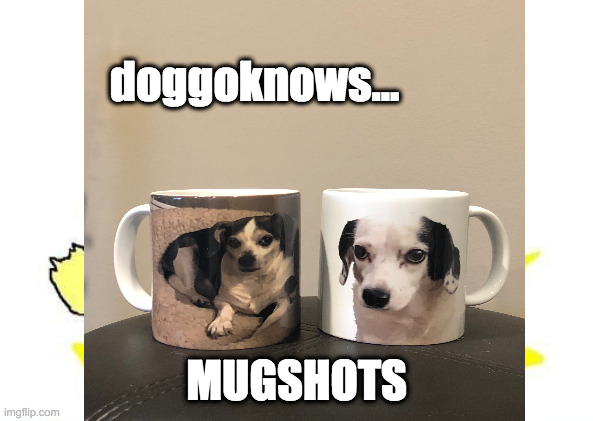 doggoknows mugshots | doggoknows... MUGSHOTS | image tagged in doggo,dog puns,mugshots,funny | made w/ Imgflip meme maker