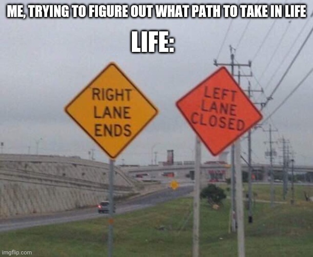 Life | LIFE:; ME, TRYING TO FIGURE OUT WHAT PATH TO TAKE IN LIFE | image tagged in funny memes,lol so funny | made w/ Imgflip meme maker
