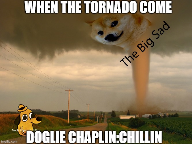 WHEN THE TORNADO COME; DOGLIE CHAPLIN:CHILLIN | image tagged in tornado,chaplin | made w/ Imgflip meme maker