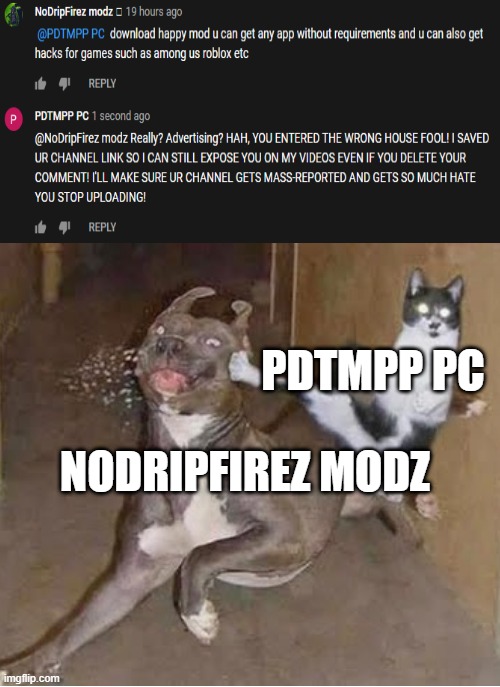 The most accurate definition of "Get Rekt" | PDTMPP PC; NODRIPFIREZ MODZ | image tagged in get rekt | made w/ Imgflip meme maker