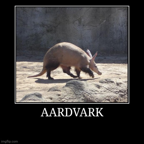 Aardvark | image tagged in demotivationals,aardvark | made w/ Imgflip demotivational maker
