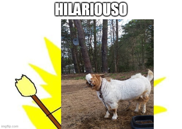 smile | HILARIOUSO | image tagged in laughing goat | made w/ Imgflip meme maker