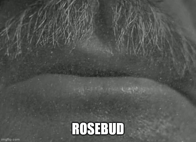 Rosebud | ROSEBUD | image tagged in rosebud | made w/ Imgflip meme maker