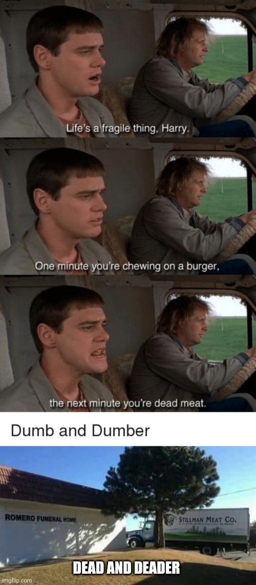 Dead meat | DEAD AND DEADER | image tagged in dumb and dumber | made w/ Imgflip meme maker