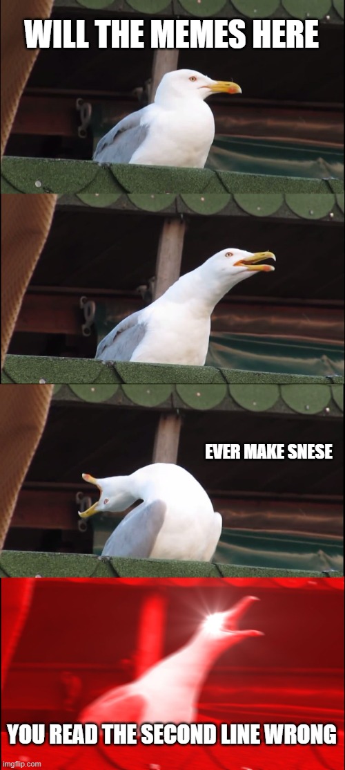 Hmm | WILL THE MEMES HERE; EVER MAKE SNESE; YOU READ THE SECOND LINE WRONG | image tagged in memes,inhaling seagull | made w/ Imgflip meme maker