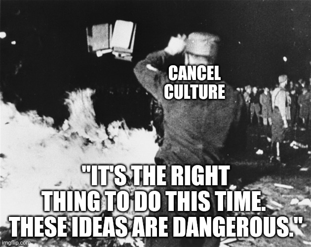 Book Burning Nazi Germany | "IT'S THE RIGHT THING TO DO THIS TIME.  THESE IDEAS ARE DANGEROUS." CANCEL CULTURE | image tagged in book burning nazi germany | made w/ Imgflip meme maker