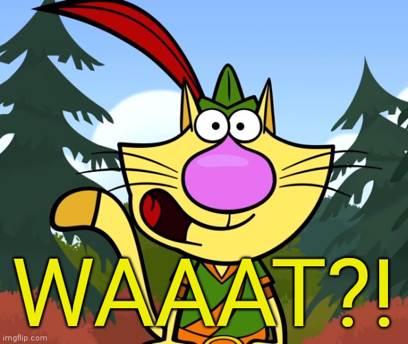 No Way!! (Nature Cat) | WAAAT?! | image tagged in no way nature cat | made w/ Imgflip meme maker