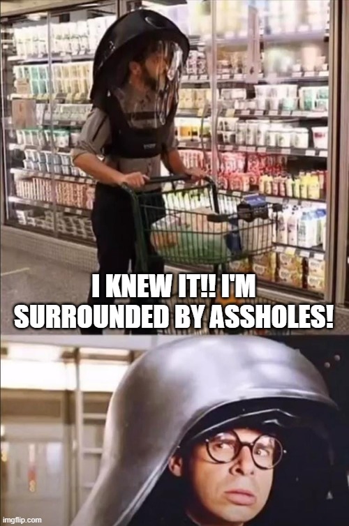 Surrounded by PLANdemic Spaceballs | I KNEW IT!! I'M SURROUNDED BY ASSHOLES! | image tagged in plandemic spaceball | made w/ Imgflip meme maker